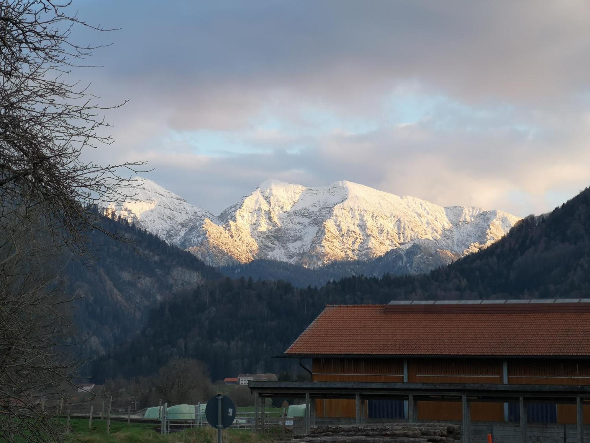 Ferienwohnung Am Wasen Inkl. Chiemgaukarte Ruhpolding Exterior foto